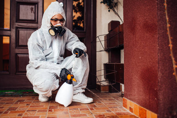 Reliable Bed Bug Control contractor in Weirton, WV by Nex Pest Control