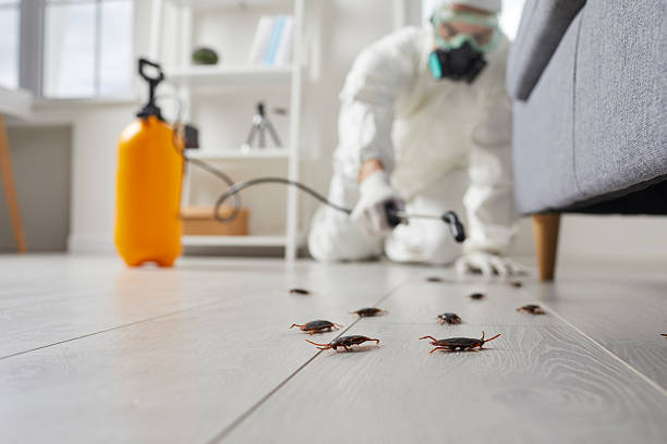 Trusted Fumigation Services service in Weirton, WV - Nex Pest Control