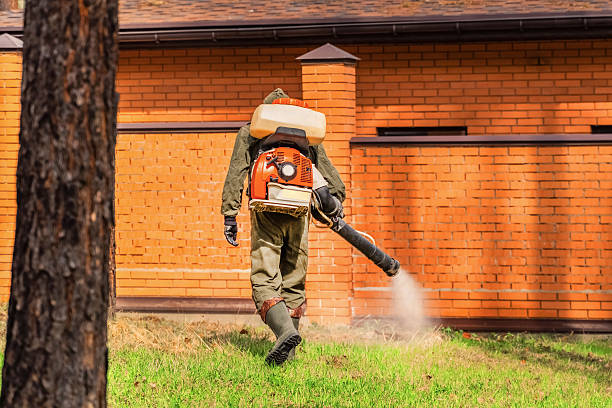 Trusted Bed Bug Control service in Weirton, WV - Nex Pest Control